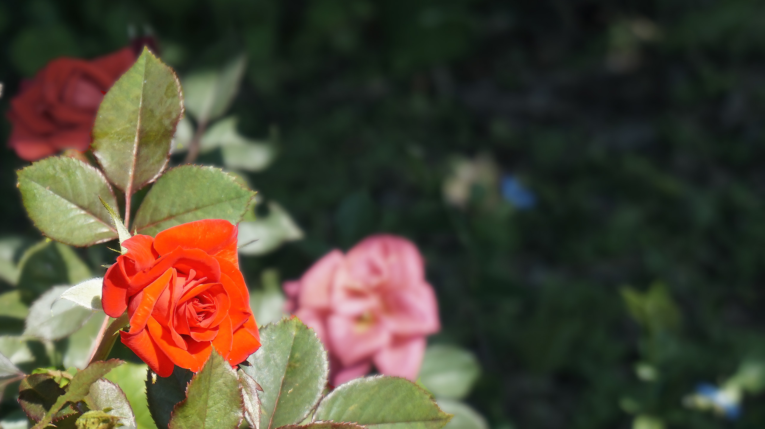 20210911_142017-SAI-2560x1440.jpg